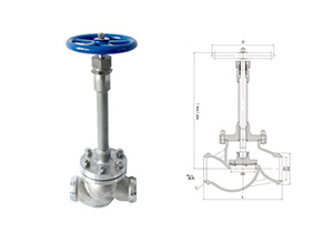 DJF-D系列(DN65-150)低温长轴截止阀